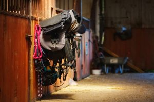 Billigt og sikkerhedsgodkendt rideudstyr til nybegynderen